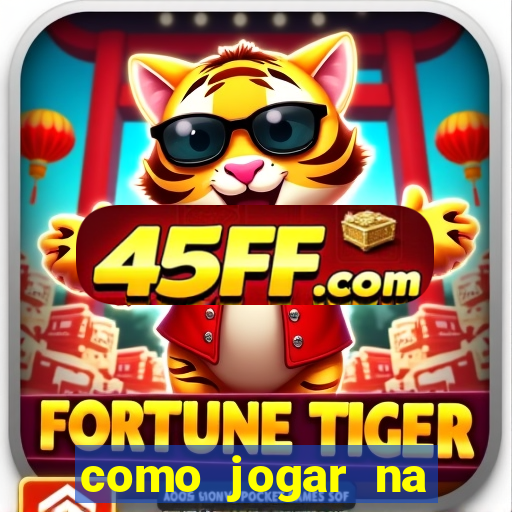 como jogar na teimosinha da lotofacil